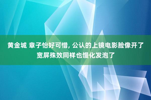 黄金城 章子怡好可惜， 公认的上镜电影脸像开了宽屏殊效同样也馒化发泡了