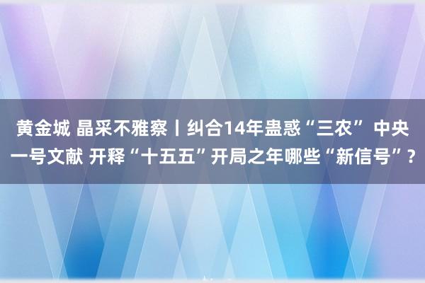 黄金城 晶采不雅察丨纠合14年蛊惑“三农” 中央一号文献 开释“十五五”开局之年哪些“新信号”？
