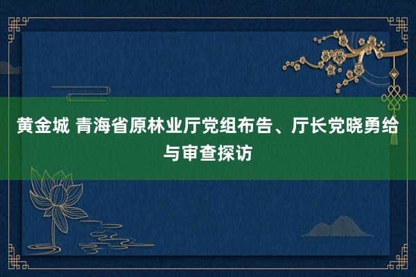 黄金城 青海省原林业厅党组布告、厅长党晓勇给与审查探访