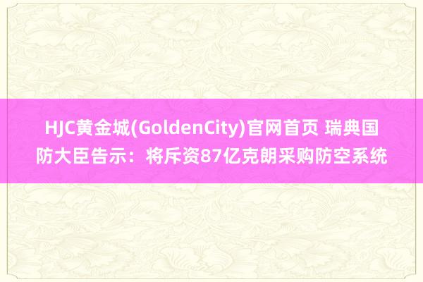 HJC黄金城(GoldenCity)官网首页 瑞典国防大臣告示：将斥资87亿克朗采购防空系统