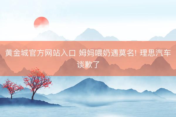 黄金城官方网站入口 姆妈喂奶遇莫名! 理思汽车谈歉了