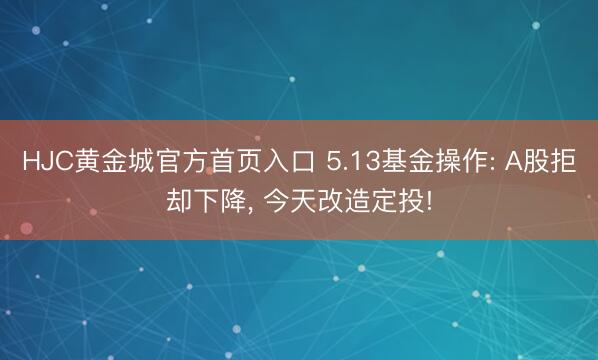 HJC黄金城官方首页入口 5.13基金操作: A股拒却下降， 今天改造定投!