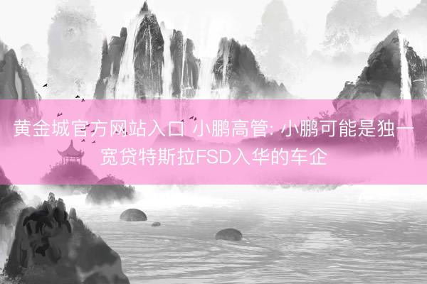 黄金城官方网站入口 小鹏高管: 小鹏可能是独一宽贷特斯拉FSD入华的车企