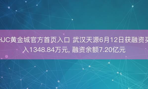 HJC黄金城官方首页入口 武汉天源6月12日获融资买入1348.84万元, 融资余额7.20亿元
