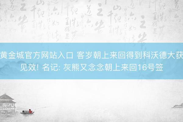 黄金城官方网站入口 客岁朝上来回得到科沃德大获见效! 名记: 灰熊又念念朝上来回16号签
